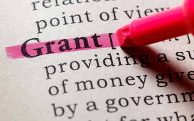 Second grant to help the self-employed during Covid-19