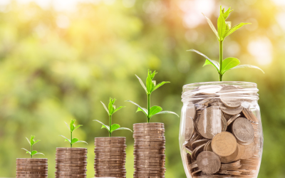 Help to grow scheme extends to smallest businesses