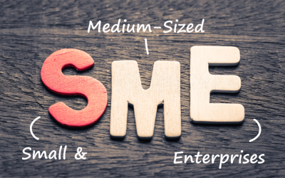 Government Support for SMEs to train, invest and innovate