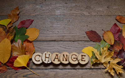 ABC…Accepting Business Change