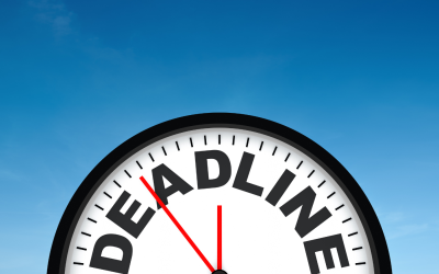 2024-25 Self-Assessment Tax Returns: Have you filed yours?