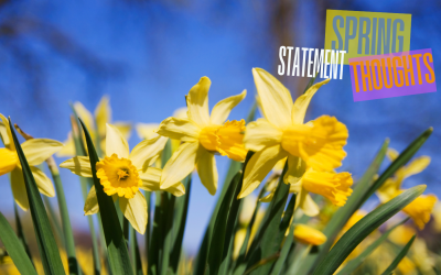 Spring Statement Thoughts…