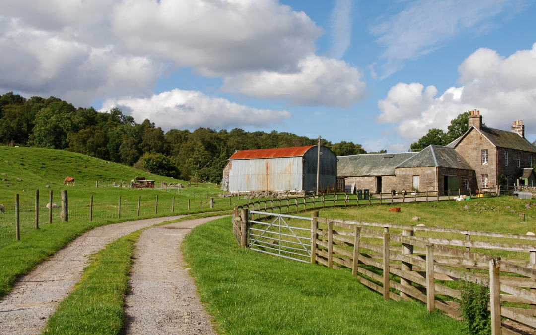 Agricultural Relief and Business Relief: Where are we now?