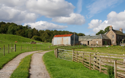 Agricultural Relief and Business Relief: Where are we now?