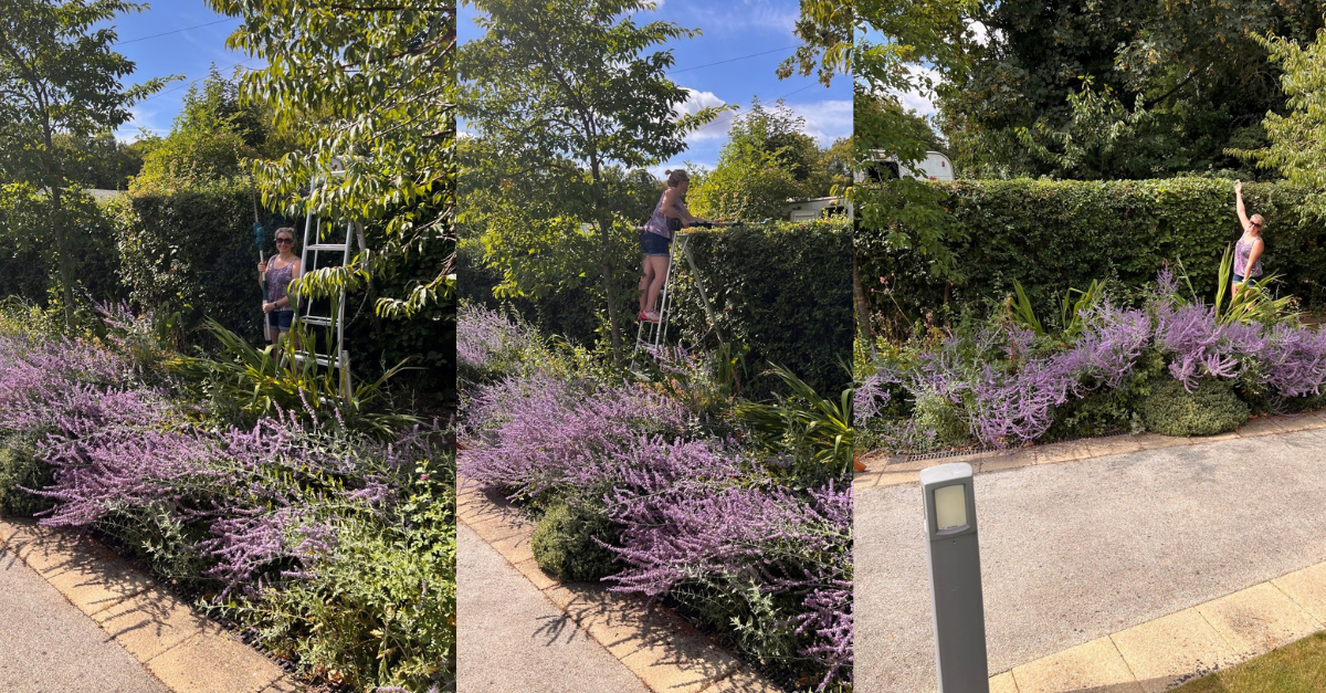 arthur rank gardening arthur rank gardening